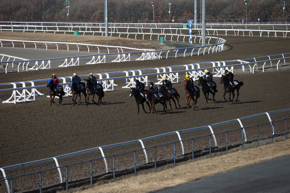 門別競馬場